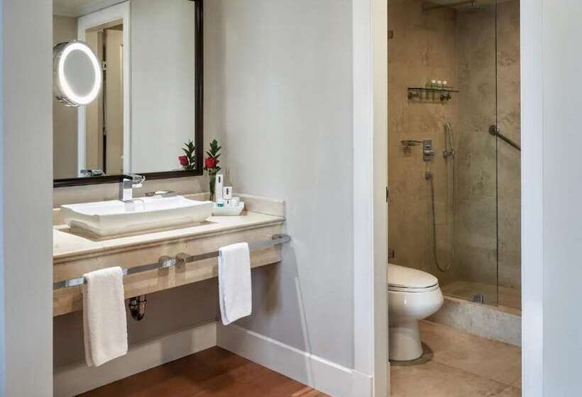 سوییت جونیور, Oro Verde Guayaquil