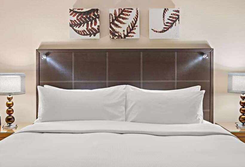 Camera Executive, Hilton Paris Opera