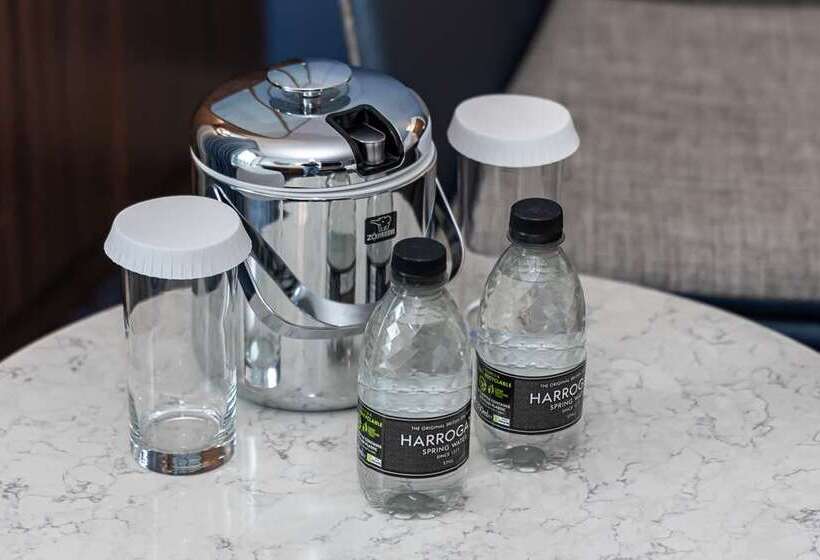 Camera Executive, Hilton Paris Opera