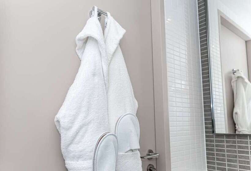 Camera Executive, Hilton Paris Opera