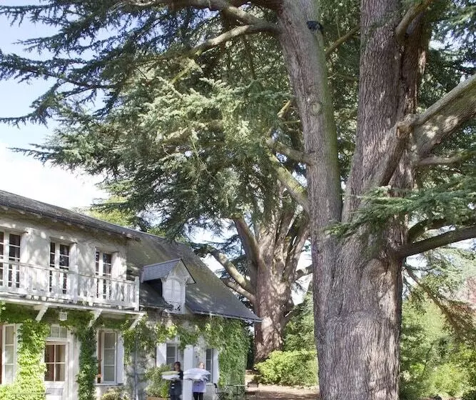 スイート（家族用）, Domaine De La Tortiniere