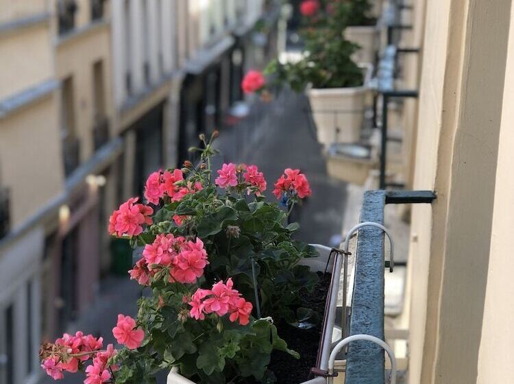 スタンダードシングルルーム, Du Vieux Saule