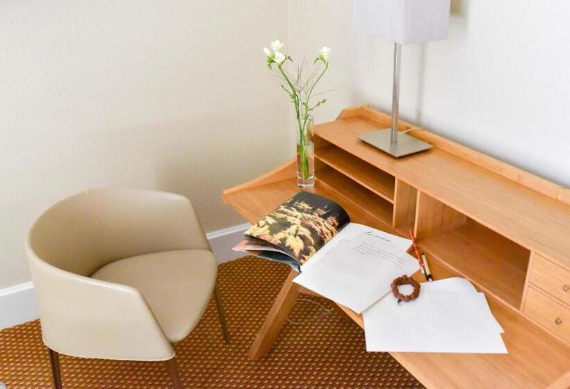 Номер Superior, Grand Hôtel Du Lion D Or