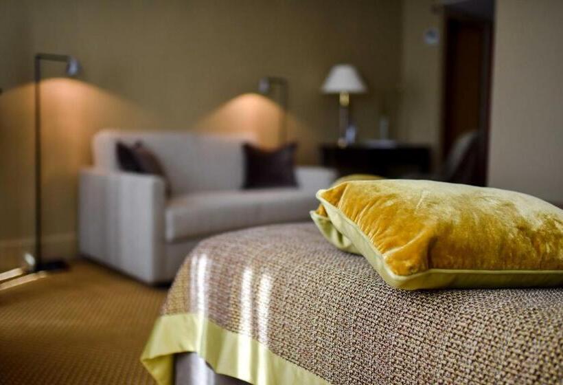 Номер Superior, Grand Hôtel Du Lion D Or