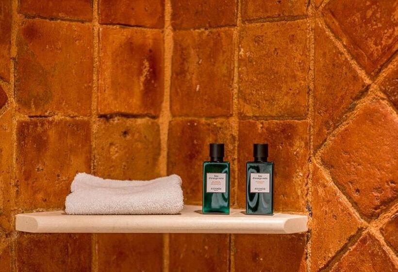 Полулюкс Повышенной Комфортности, Grand Hôtel Du Lion D Or