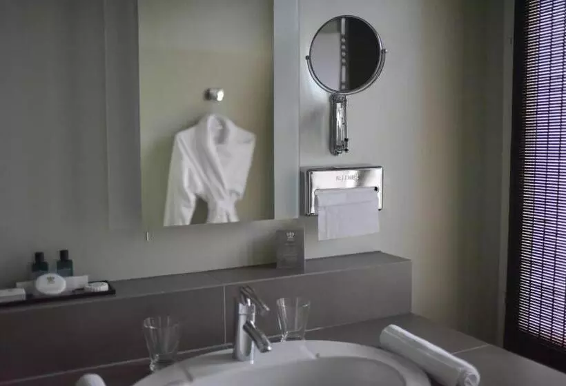 اتاق استاندارد, Grand Hôtel Du Lion D Or