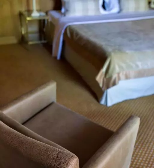 اتاق سوپریور با تخت بزرگ, Grand Hôtel Du Lion D Or