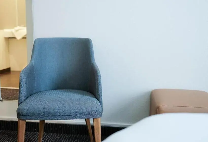 1ベッドルームアパートメントをつなぐ, Logis Hôtel De L Europe