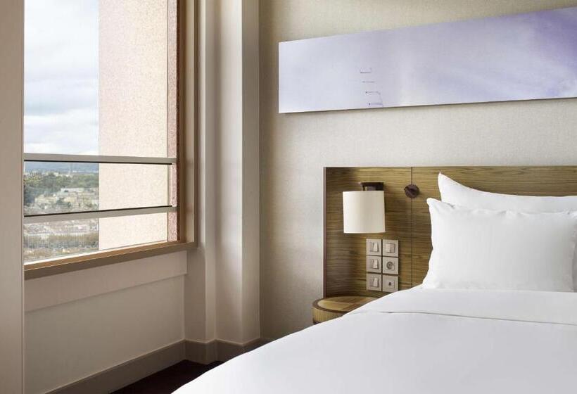 全景套房, Radisson Blu Hotel, Lyon