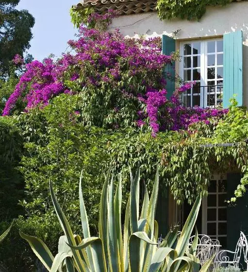 ２ベッドルームアパートメント, Hôtel Saint Vincent