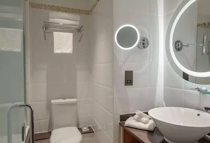 Cameră Standard, Doubletree By Hilton Bath