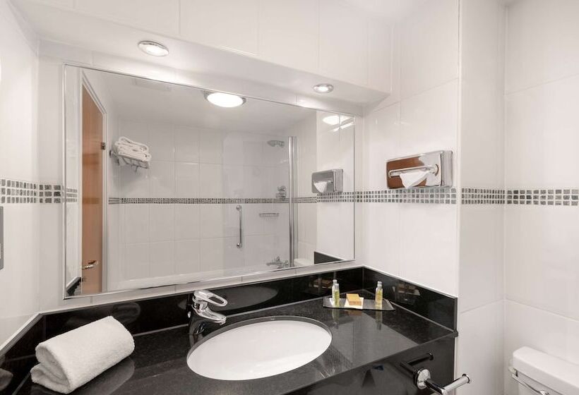 豪华房间, Hilton Birmingham Metropole