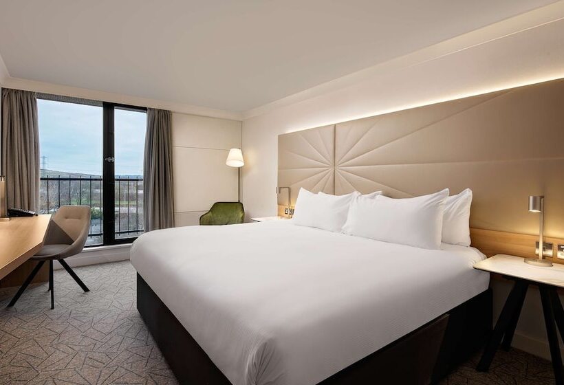 豪华房间, Hilton Birmingham Metropole