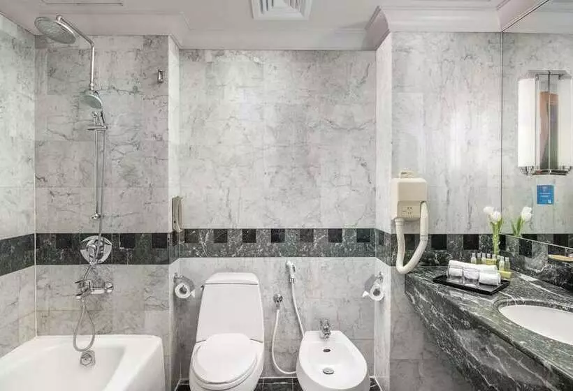 اتاق لوکس یک تخته, Hilton Birmingham Metropole