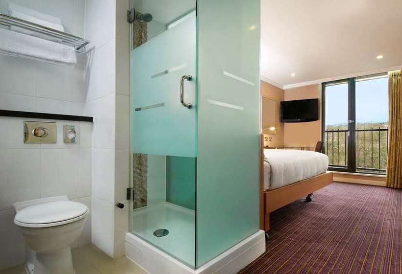 豪华单人间, Hilton Birmingham Metropole