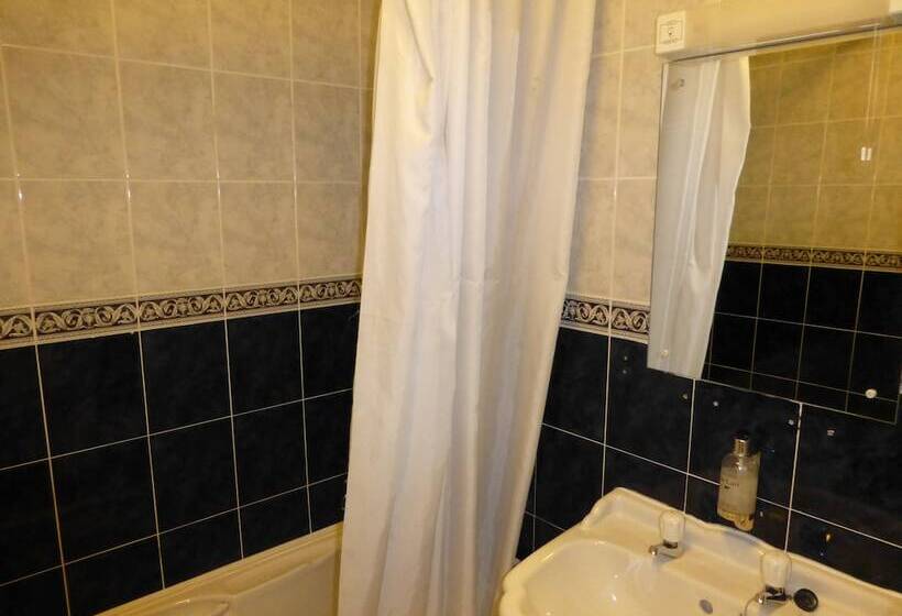 غرفة قياسية فردية, Maes Manor Country