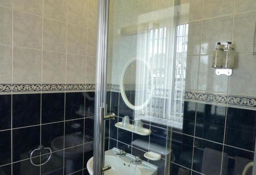 スタンダードルーム, Maes Manor Country