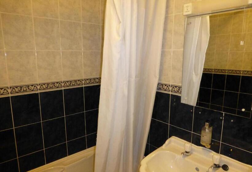 スタンダードシングルルーム, Maes Manor Country