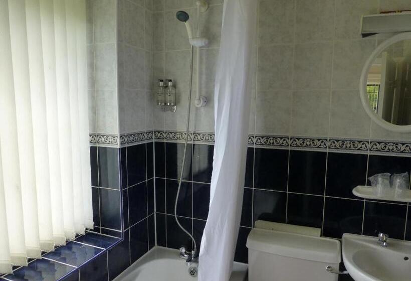 スタンダードルーム, Maes Manor Country