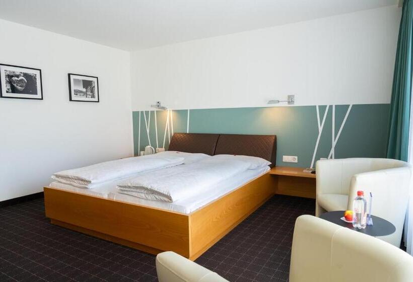 اتاق سوپریور یک تخته, Schatzmann