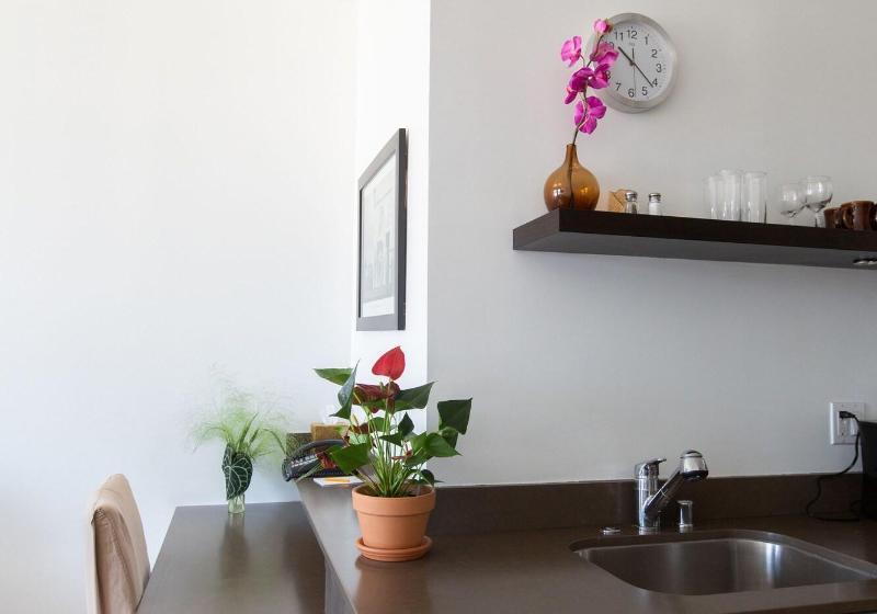 Номер Superior, Tanoa International