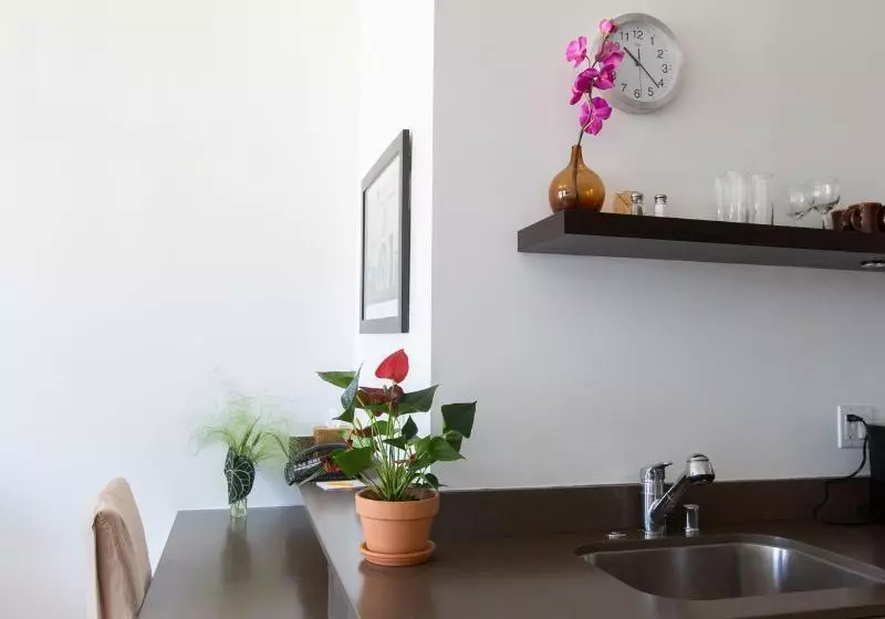 اتاق سوپریور, Tanoa International