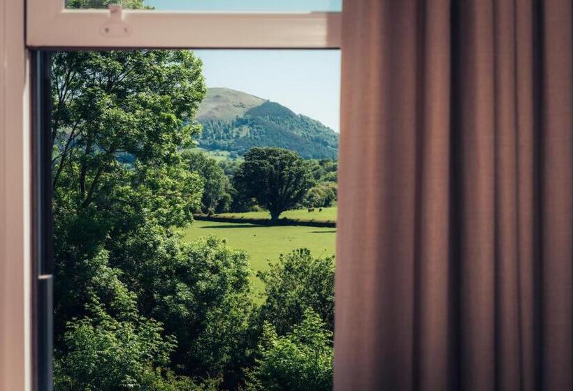 스탠다드 룸 킹사이즈 침대, The Ruddings