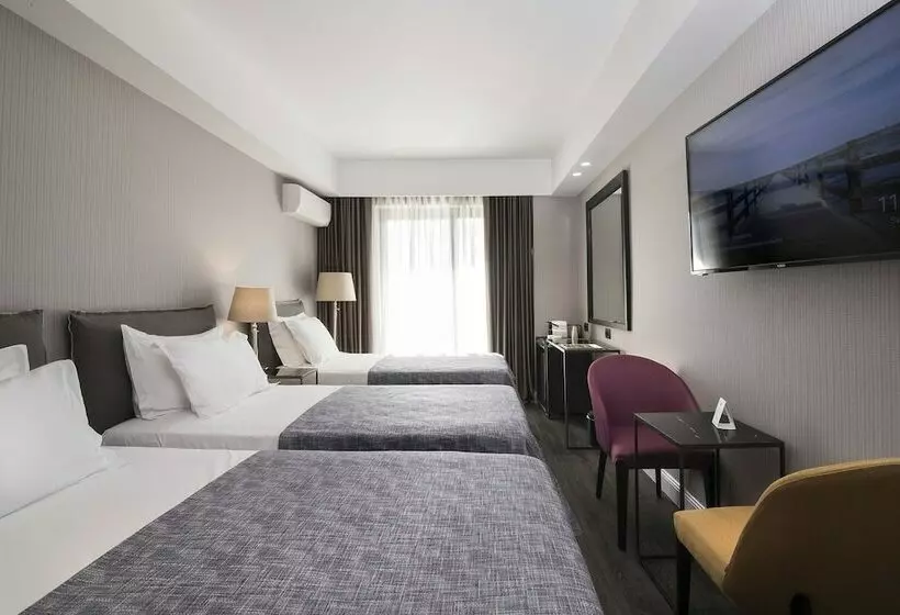 Superior Kolmen Hengen Huone, Astor Hotel Athens