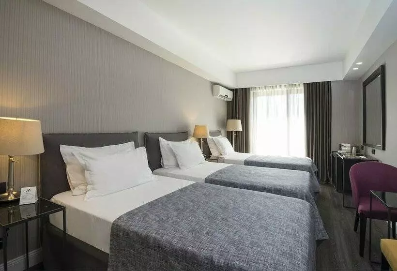 Superior Kolmen Hengen Huone, Astor Hotel Athens