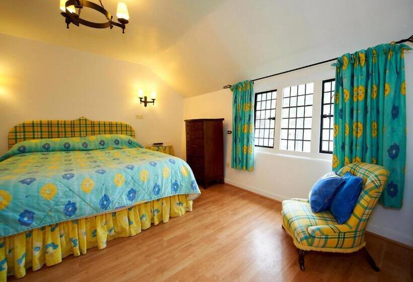 Люкс, Portmeirion Village & Castell Deudraeth