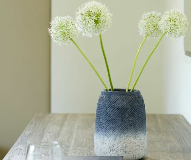 디럭스 룸, Vincci EverEden