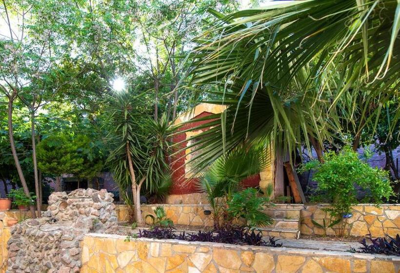 חדר יחיד נוף לגינה, Avra