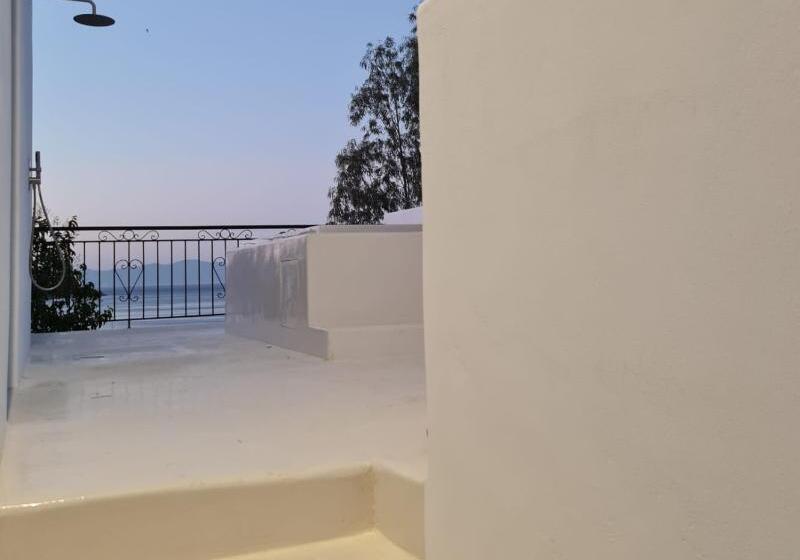 Номер Стандарт, Royal Olympic