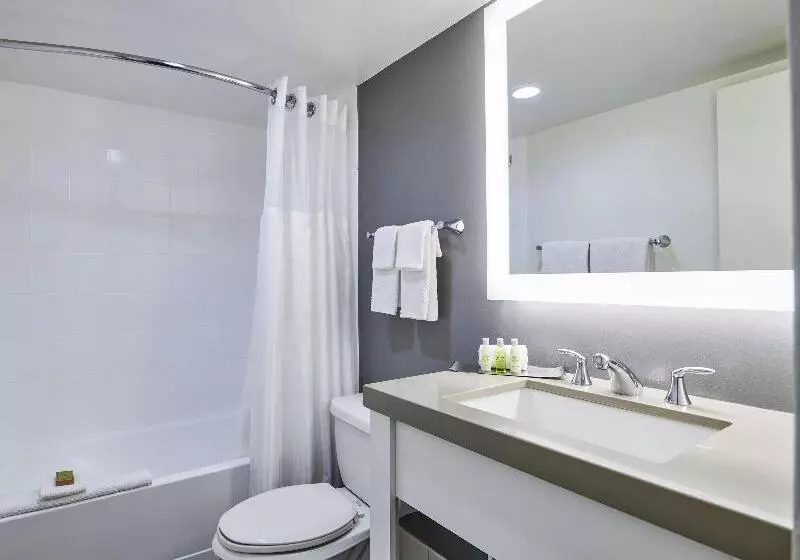 コンフォートルーム, Bonotto Hotel Palladio