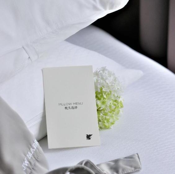 Premium room with view