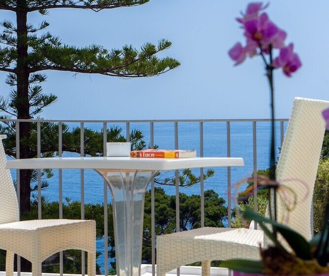 片側に海が見えるデラックスルーム, La Floridiana