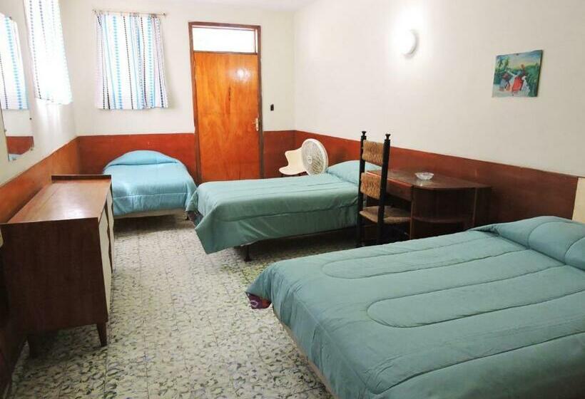 Economy Triple Room, Park