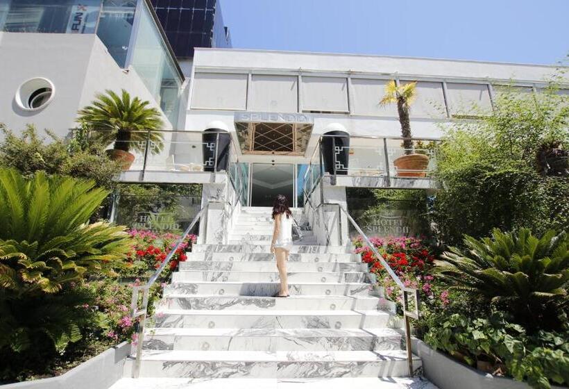 آپارتمان 1 خوابه, Splendid Mare