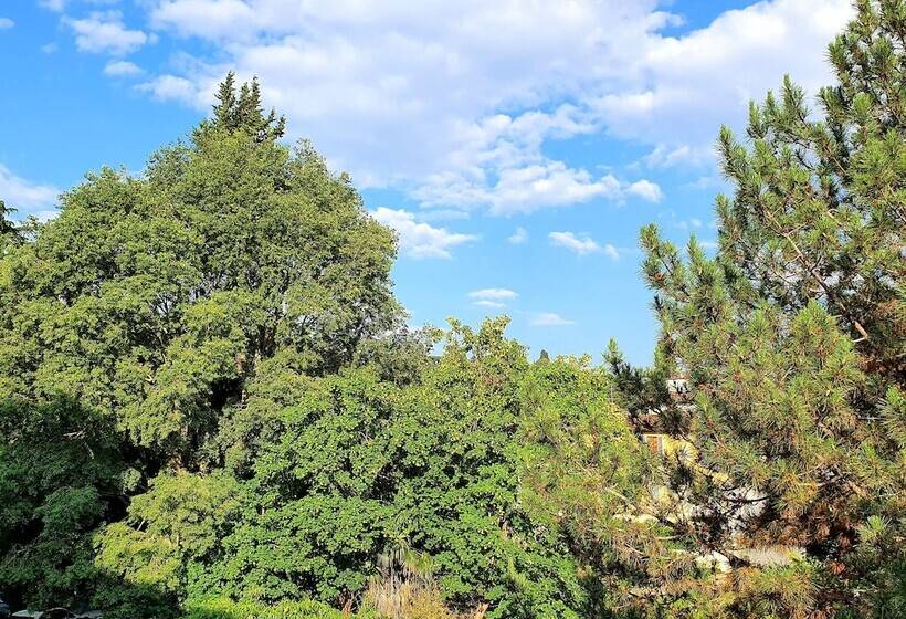 اتاق سوپریور با چشم‌انداز باغ, Annalena