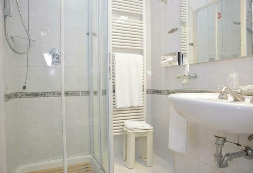 اتاق استاندارد یک نفره, Bristol