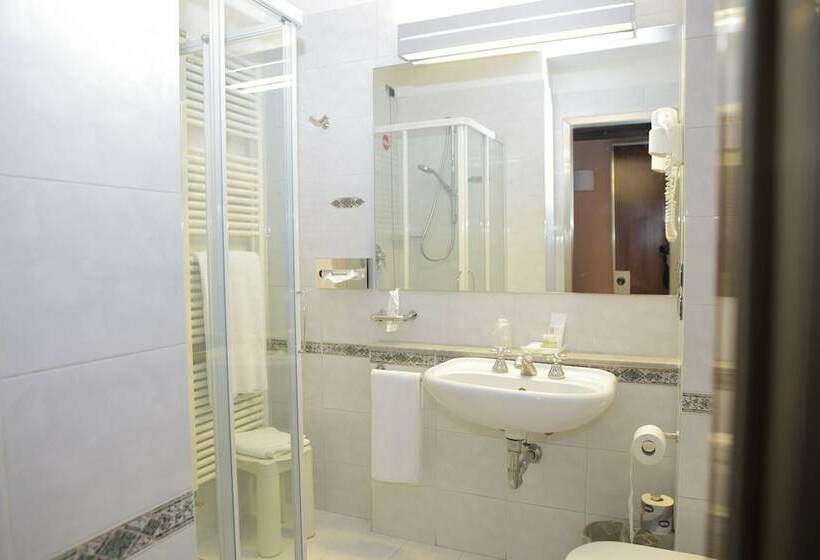 اتاق استاندارد یک نفره, Bristol