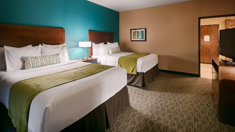 اتاق استاندارد چهار تخته, Cimabue