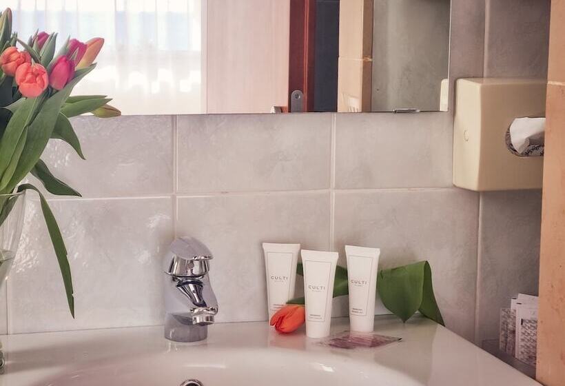 اتاق استاندارد, Florida Lerici