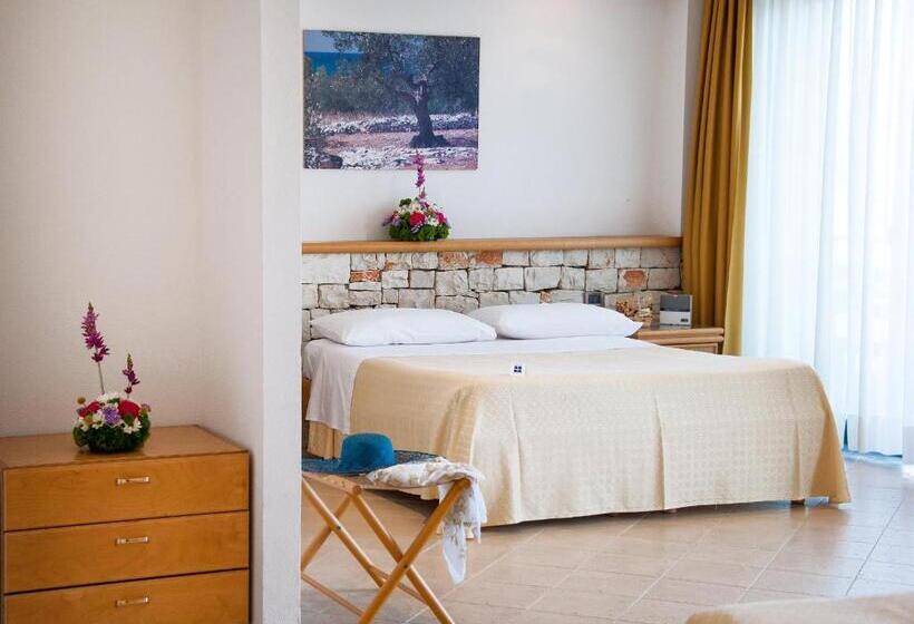Номер Стандарт, Terminal   Caroli Hotels