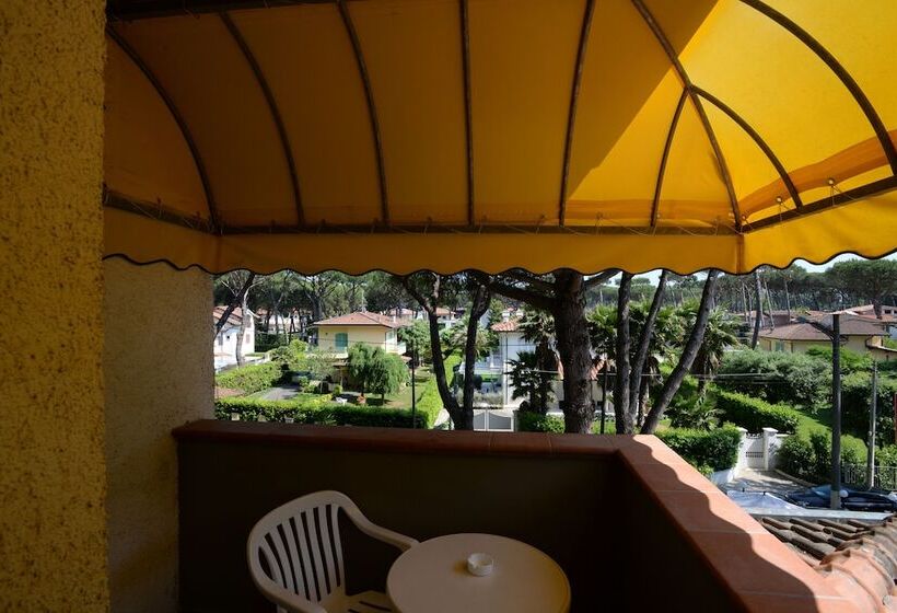 חדר קלאסי לשלושה, Giulio Cesare