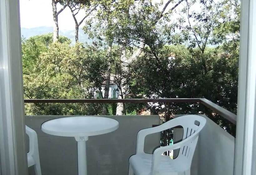 חדר קלאסי לשלושה, Giulio Cesare