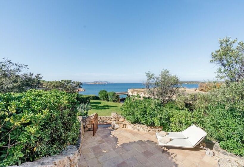 Люкс Дюплекс, Pitrizza