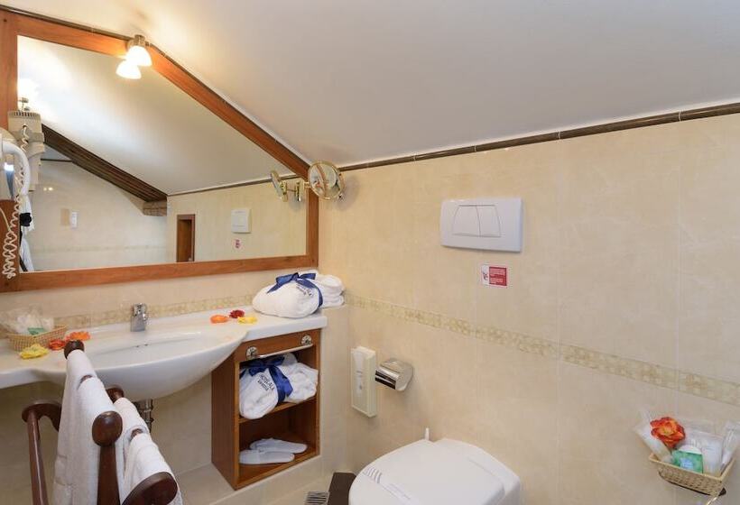 اتاق اکونومی, Unahotels Ala Venezia Adults 16