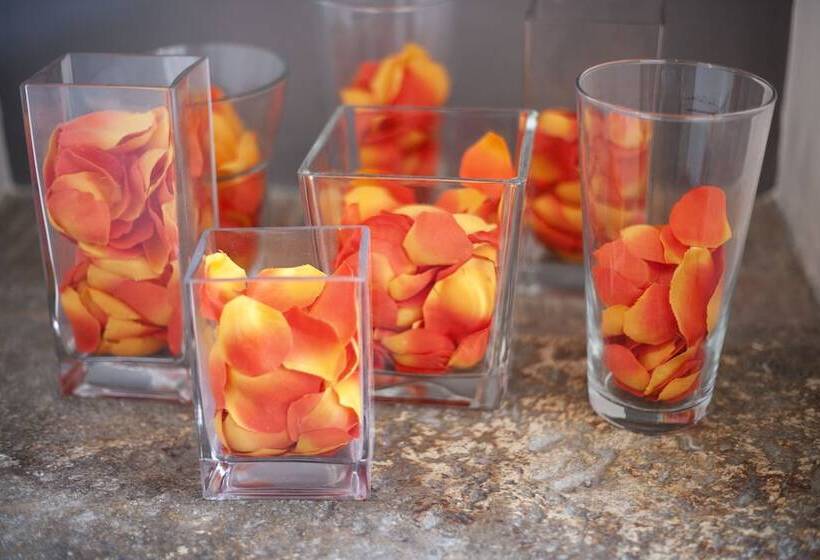 اتاق استاندارد سه نفره, Charleston