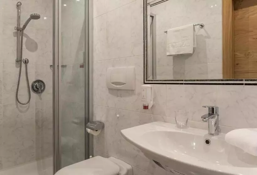 Basic Yhden Hengen Huone, Posthotel Lamm